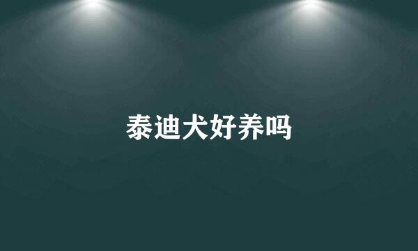 泰迪犬好养吗