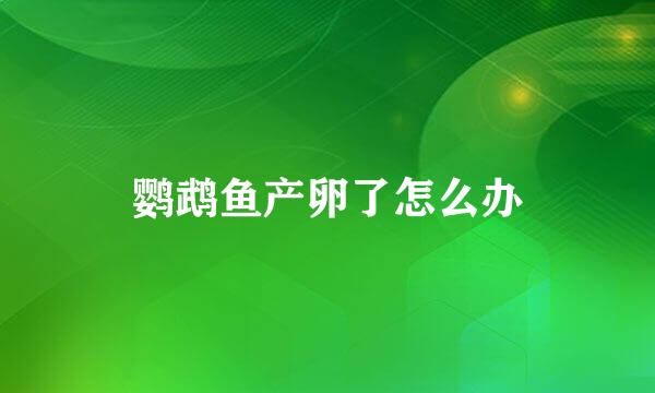 鹦鹉鱼产卵了怎么办