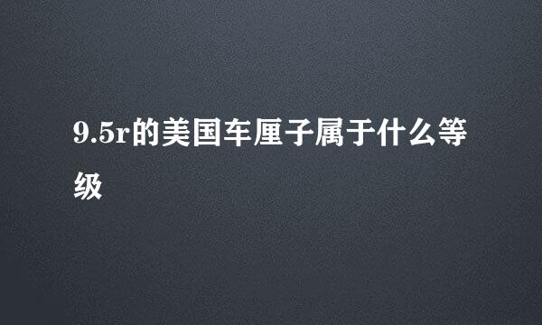 9.5r的美国车厘子属于什么等级