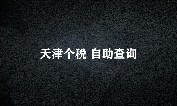 天津个税 自助查询