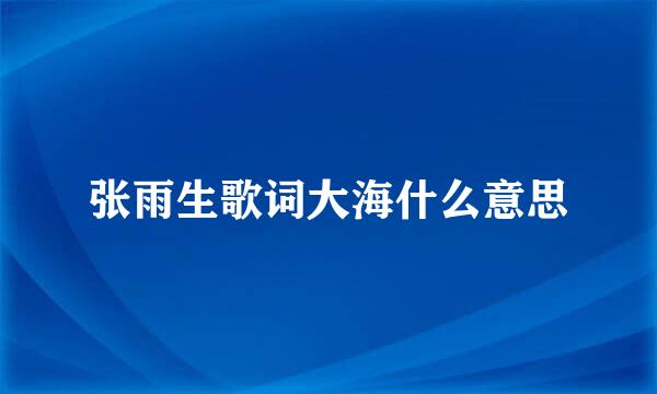 张雨生歌词大海什么意思
