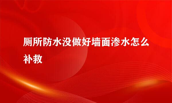 厕所防水没做好墙面渗水怎么补救