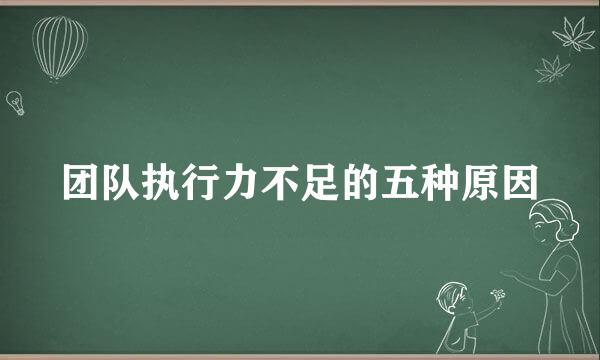 团队执行力不足的五种原因