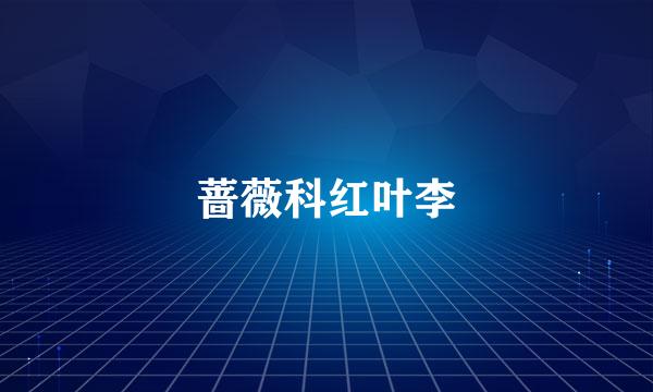 蔷薇科红叶李