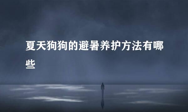夏天狗狗的避暑养护方法有哪些