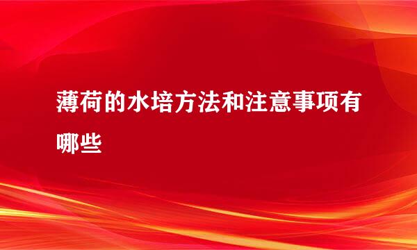 薄荷的水培方法和注意事项有哪些