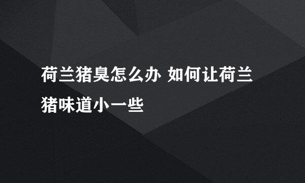 荷兰猪臭怎么办 如何让荷兰猪味道小一些