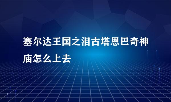 塞尔达王国之泪古塔恩巴奇神庙怎么上去