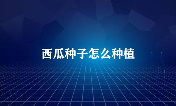 西瓜种子怎么种植