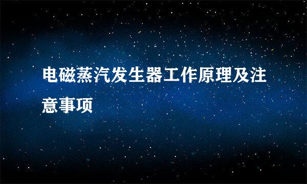 电磁蒸汽发生器工作原理及注意事项