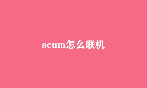 scum怎么联机