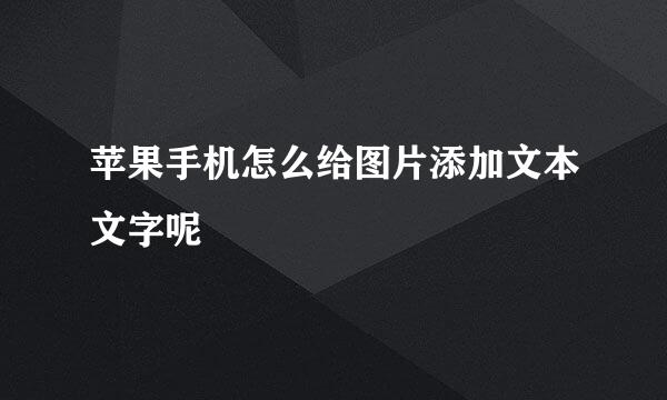 苹果手机怎么给图片添加文本文字呢