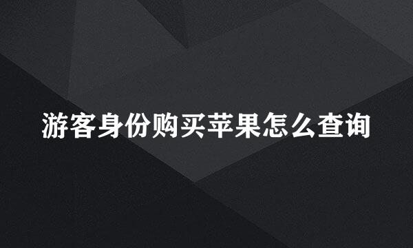 游客身份购买苹果怎么查询