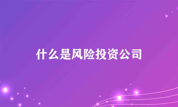 什么是风险投资公司