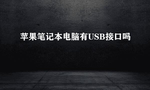 苹果笔记本电脑有USB接口吗