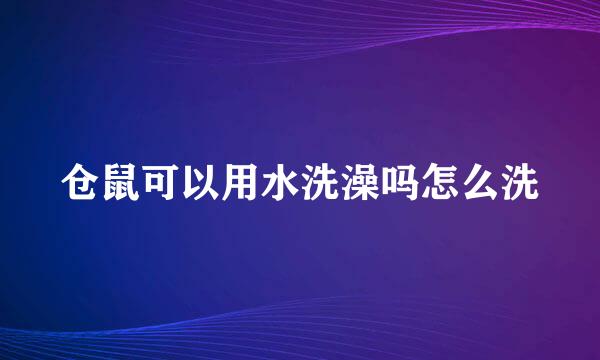 仓鼠可以用水洗澡吗怎么洗
