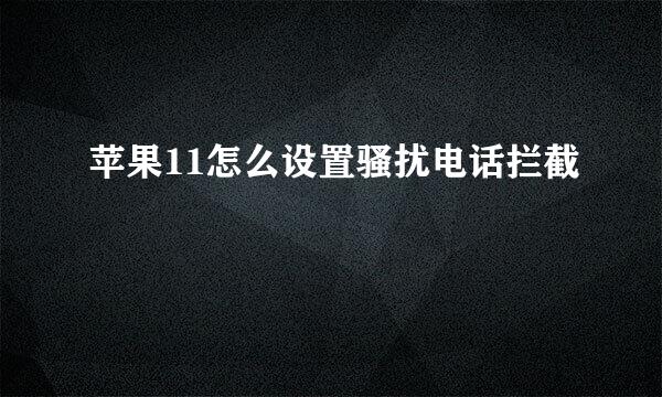 苹果11怎么设置骚扰电话拦截