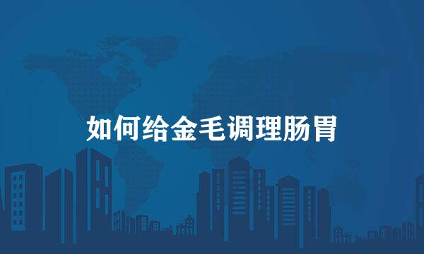 如何给金毛调理肠胃