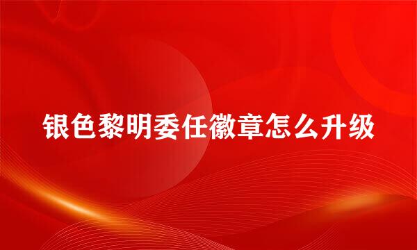 银色黎明委任徽章怎么升级