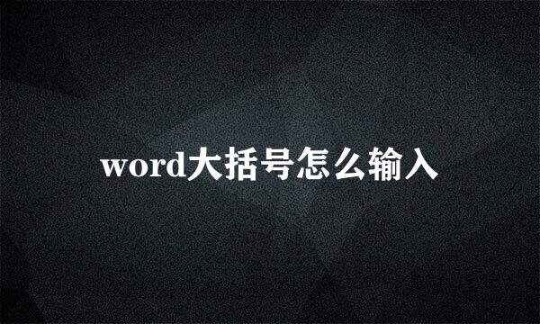 word大括号怎么输入