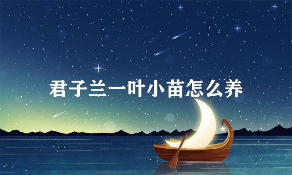 君子兰一叶小苗怎么养