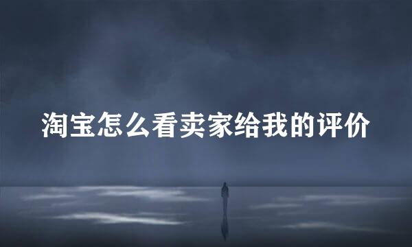 淘宝怎么看卖家给我的评价