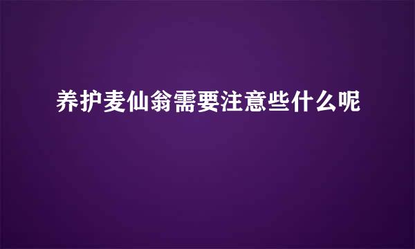 养护麦仙翁需要注意些什么呢