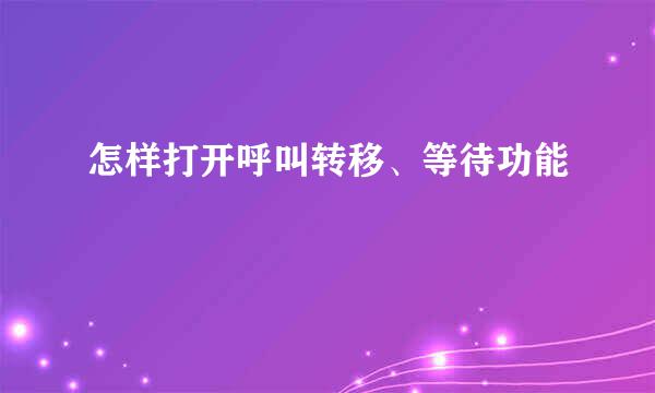 怎样打开呼叫转移、等待功能