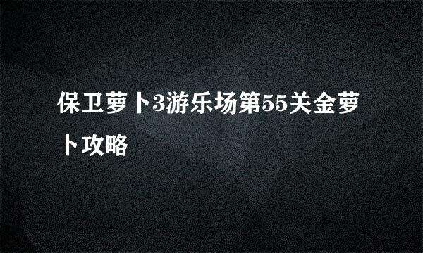 保卫萝卜3游乐场第55关金萝卜攻略