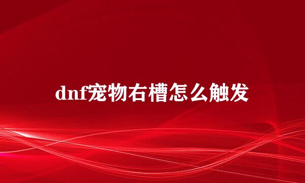 dnf宠物右槽怎么触发