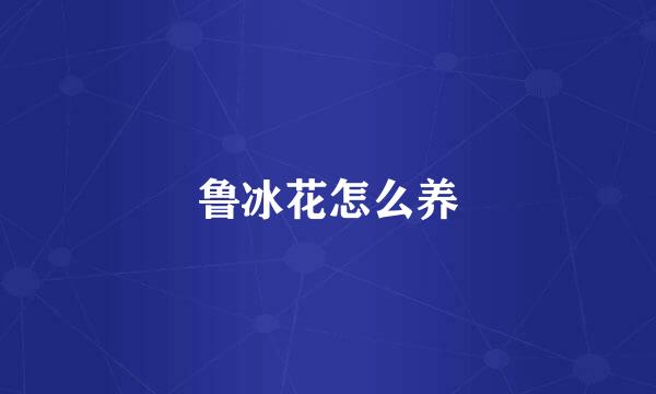 鲁冰花怎么养