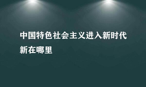 中国特色社会主义进入新时代新在哪里