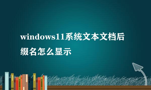 windows11系统文本文档后缀名怎么显示