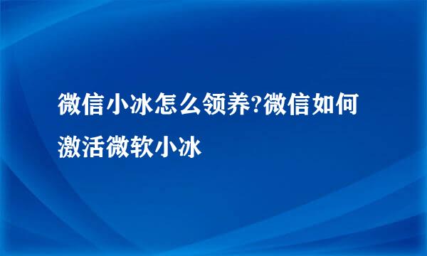 微信小冰怎么领养?微信如何激活微软小冰