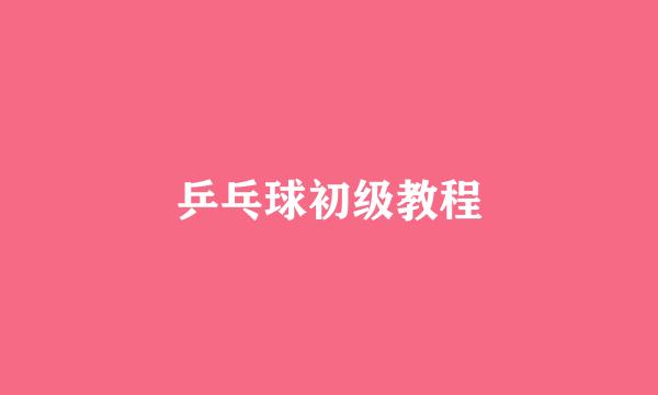 乒乓球初级教程