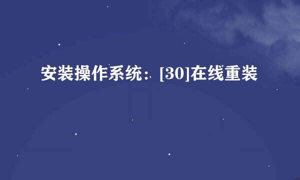 安装操作系统：[30]在线重装