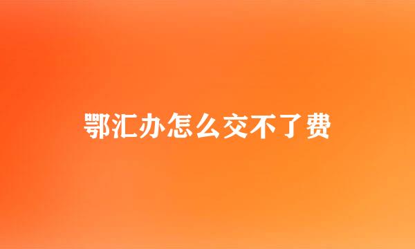 鄂汇办怎么交不了费