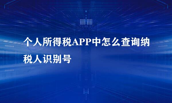 个人所得税APP中怎么查询纳税人识别号
