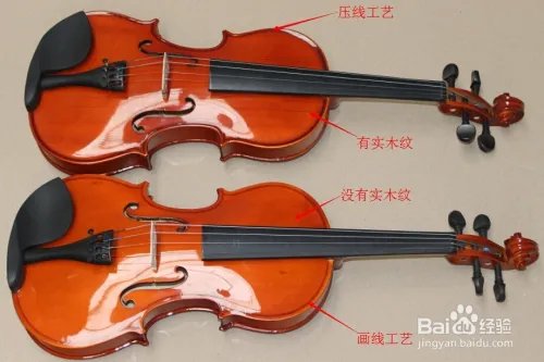 如何选购小提琴?初学者怎样选择小提琴?