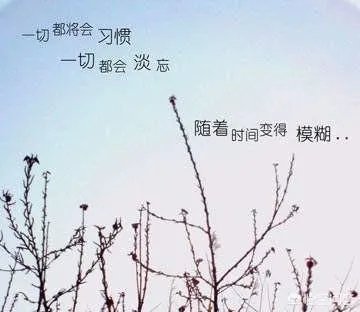 简奥斯丁写了世人羡慕的爱情作品,自己却孤独终老,是遗憾吗?