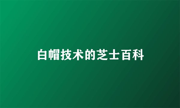白帽技术的芝士百科