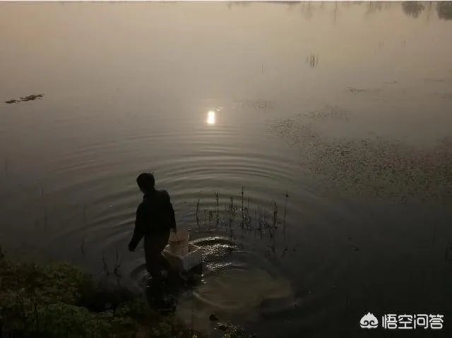 有人说现在全国各地都在扩养小龙虾,现在入市还来得及吗?