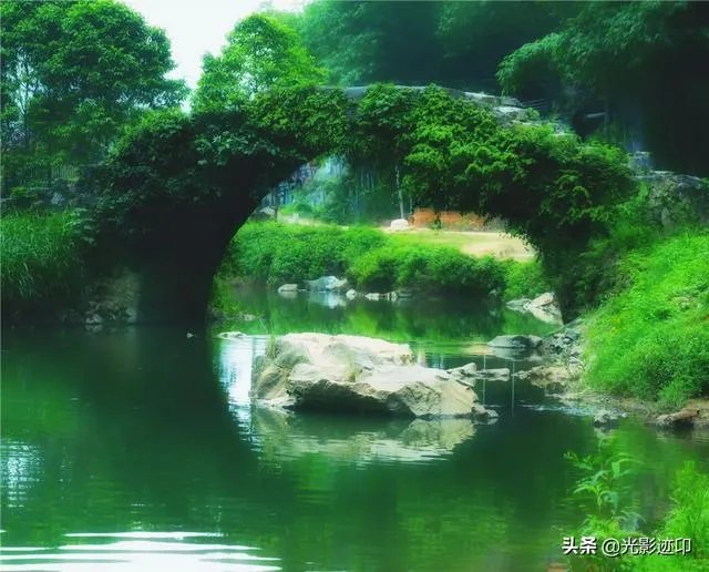 有什么入门单反推荐?跪谢?