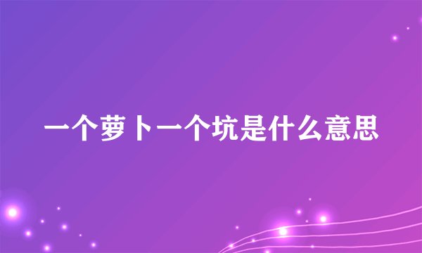 一个萝卜一个坑是什么意思