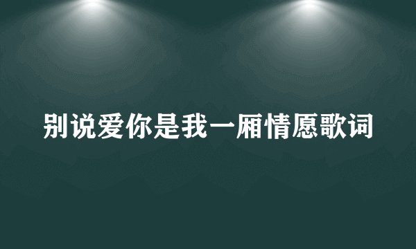 别说爱你是我一厢情愿歌词