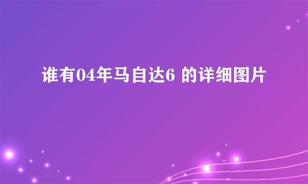谁有04年马自达6 的详细图片