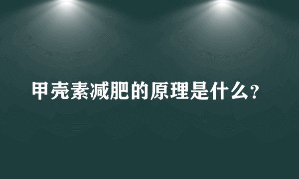 甲壳素减肥的原理是什么？