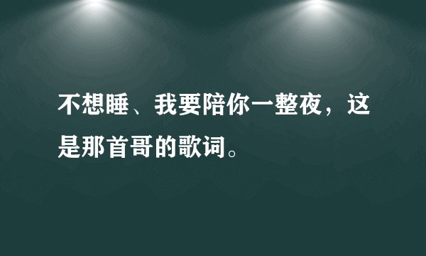 不想睡、我要陪你一整夜，这是那首哥的歌词。