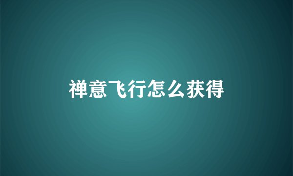 禅意飞行怎么获得