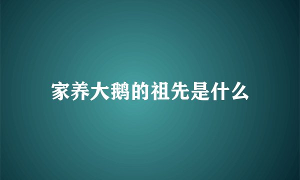 家养大鹅的祖先是什么